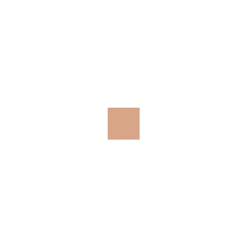 Shiseido Shiseido Perfect Refining Foundation SPF15 - I40 Natural Fair Ivory 30ml -