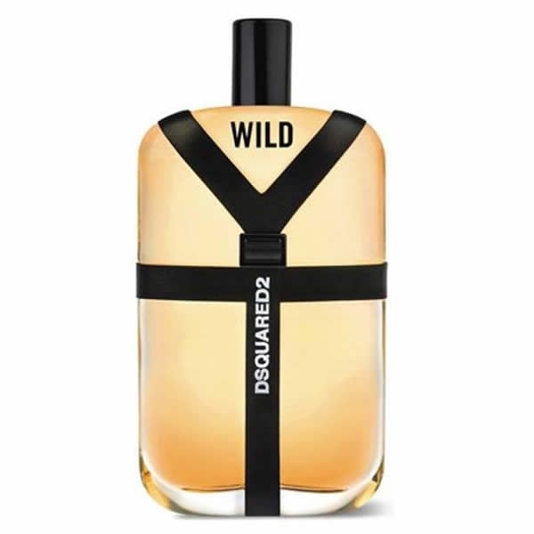 Dsquared2 Wild 100ml EDT Spray