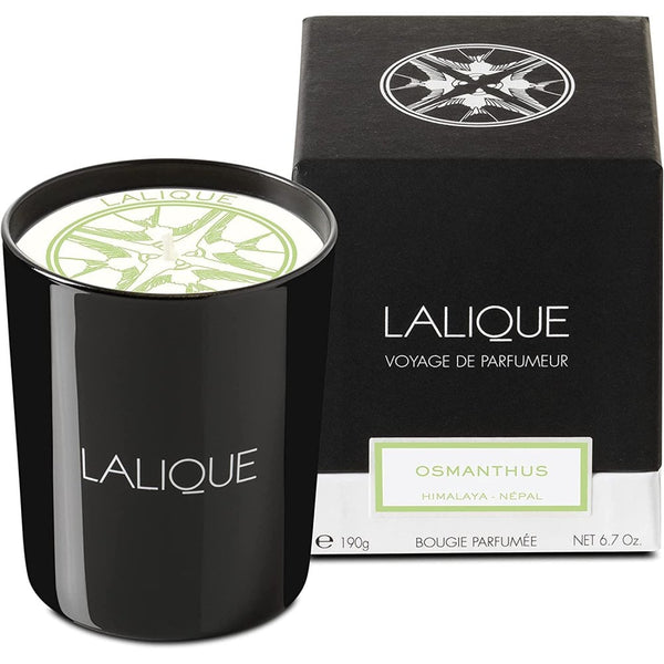 Lalique Lalique Candle 190g - Osmanthus Himalaya - Health & Beauty > Personal Care > Cosmetics .