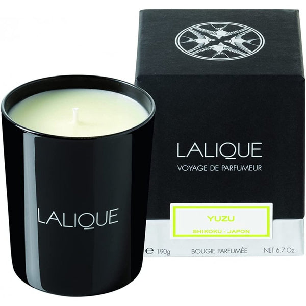 Lalique Lalique Candle 190g - Yuzu Shikokou - Health & Beauty > Personal Care > Cosmetics .