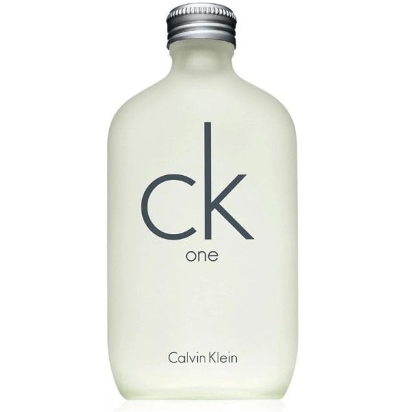 Calvin Klein CK One 100ml EDT Spray