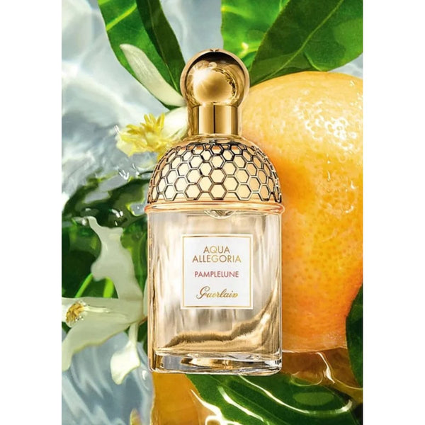 Guerlain Guerlain Aqua Allegoria Pamplelune 125ml EDT Spray - Health & Beauty > Personal Care > Cosmetics > Perfumes & Colognes > Eaux De Toilette EDT