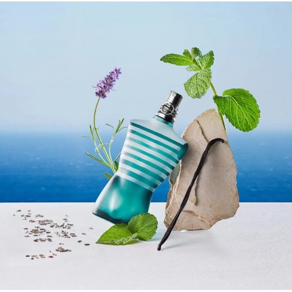 Jean Paul Gaultier Jean Paul Gaultier Le Male 75ml EDT Spray - Health & Beauty > Personal Care > Cosmetics > Perfumes & Colognes > Eaux De Toilette EDT