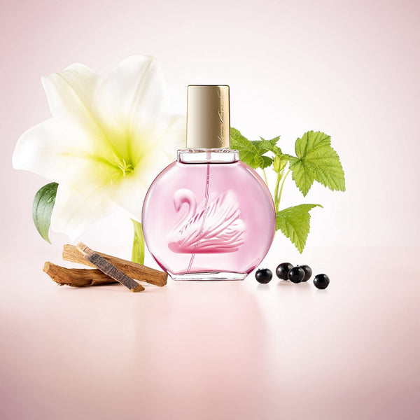 Gloria Vanderbilt Gloria Vanderbilt Minuit A New York 100ml EDP Spray - Health & Beauty > Personal Care > Cosmetics > Perfumes & Colognes > Eaux de Parfum EDP