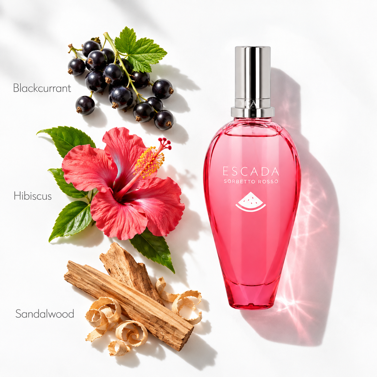 Escada Sorbetto Rosso 100ml EDT Spray