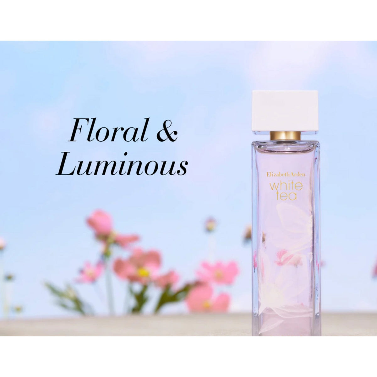 Elizabeth Arden Elizabeth Arden White Tea Eau Florale 100ml EDT Spray - Health & Beauty > Personal Care > Cosmetics > Perfumes & Colognes > Eaux De Toilette EDT