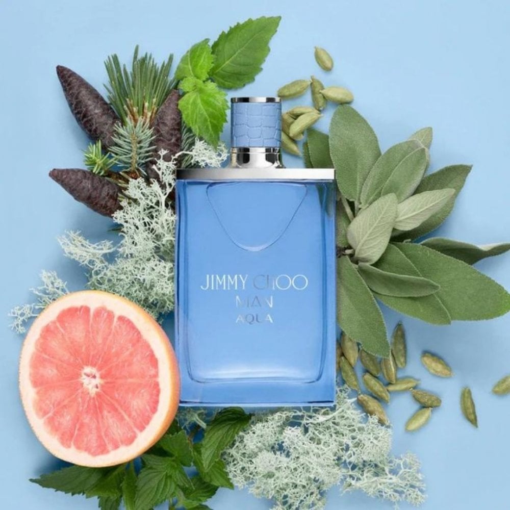 Jimmy Choo Jimmy Choo Man Aqua 30ml EDT Spray - Health & Beauty > Personal Care > Cosmetics > Perfumes & Colognes > Eaux De Toilette EDT