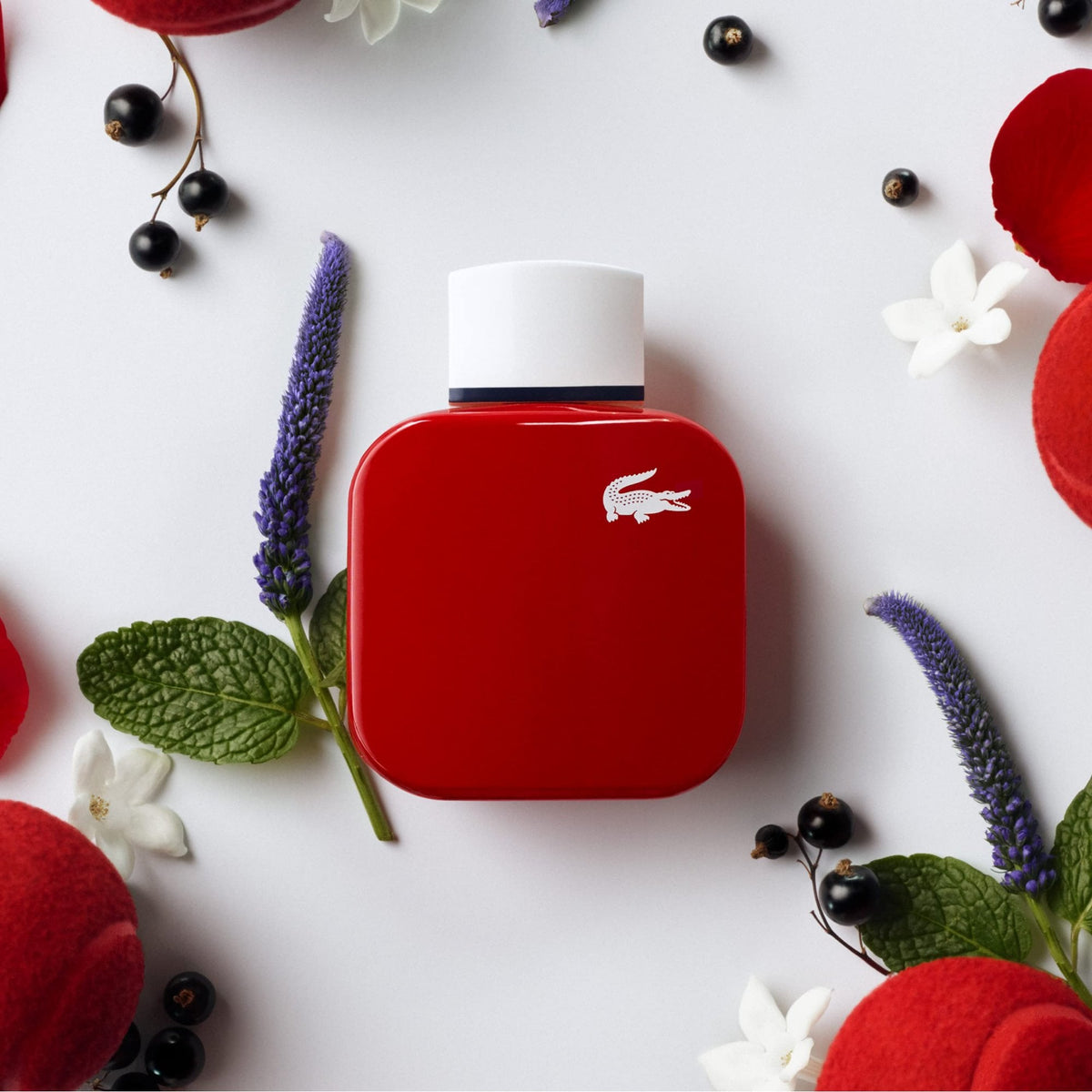 Lacoste Lacoste Eau de Lacoste L.12.12 Pour Elle French Panache 30ml EDT Spray - Health & Beauty > Personal Care > Cosmetics > Perfumes & Colognes > Eaux De Toilette EDT