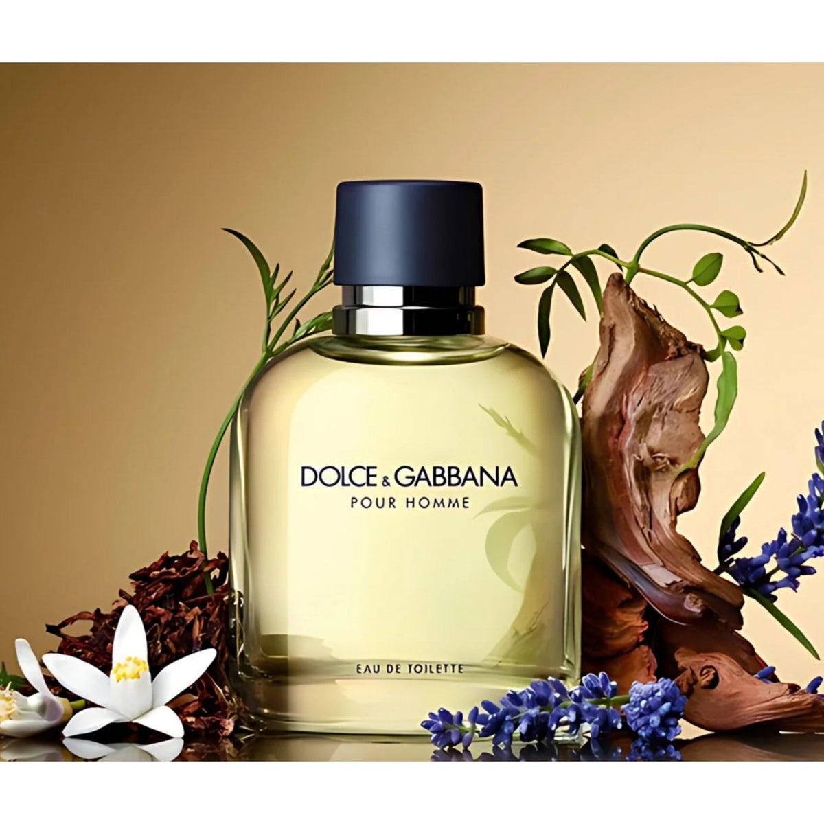 Dolce & Gabbana Dolce & Gabbana Men Pour Homme 75ml EDT Spray - Health & Beauty > Personal Care > Cosmetics > Perfumes & Colognes > Eaux De Toilette EDT