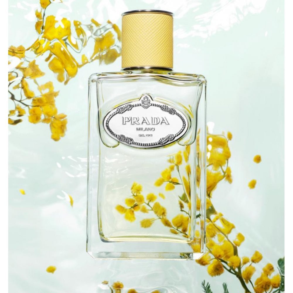 Prada Prada Les Infusions de Prada Mimosa 100ml EDP Spray - Health & Beauty > Personal Care > Cosmetics > Perfumes & Colognes > Eaux de Parfum EDP