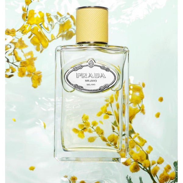 Prada Prada Les Infusions de Prada Mimosa 100ml EDP Spray - Health & Beauty > Personal Care > Cosmetics > Perfumes & Colognes > Eaux de Parfum EDP