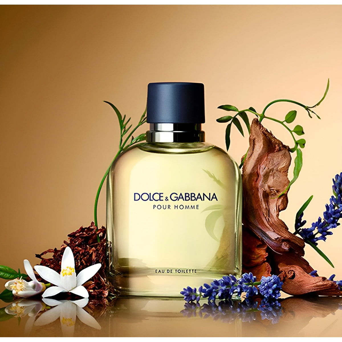 Dolce & Gabbana Dolce & Gabbana Pour Homme 200ml EDT Spray - Health & Beauty > Personal Care > Cosmetics > Perfumes & Colognes > Eaux de Parfum EDT