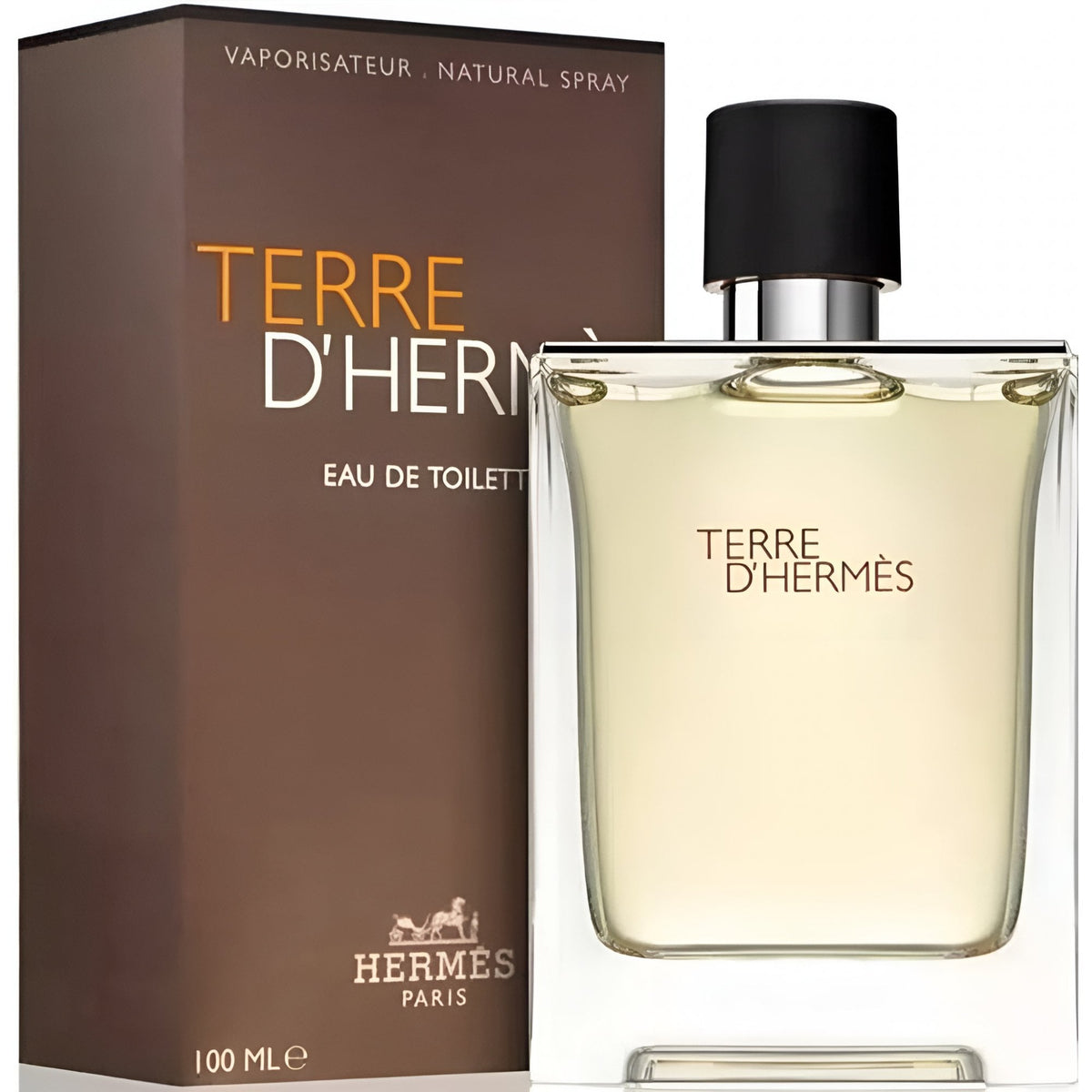 Hermes Hermes Terre D'Hermes 100ml EDT Spray - Health & Beauty > Personal Care > Cosmetics > Perfumes & Colognes > Eaux De Toilette EDT