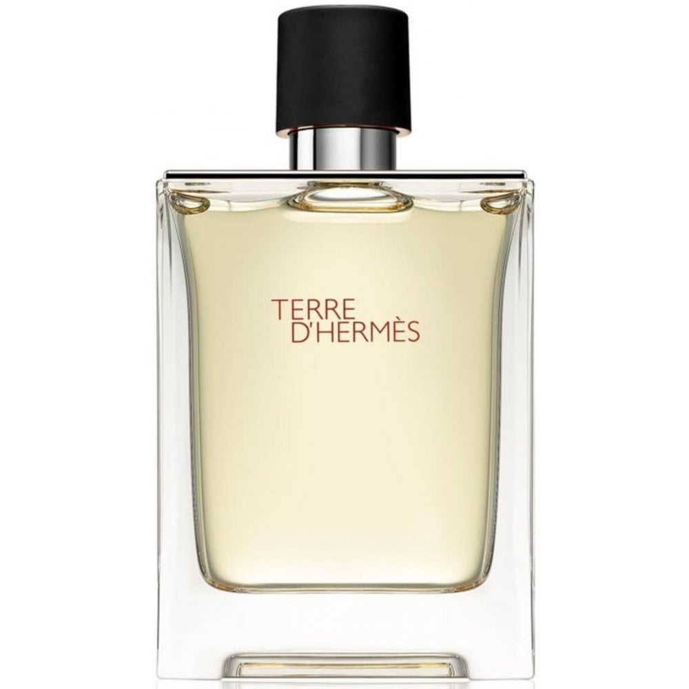 Hermes Hermes Terre D'Hermes 100ml EDT Spray - Health & Beauty > Personal Care > Cosmetics > Perfumes & Colognes > Eaux De Toilette EDT