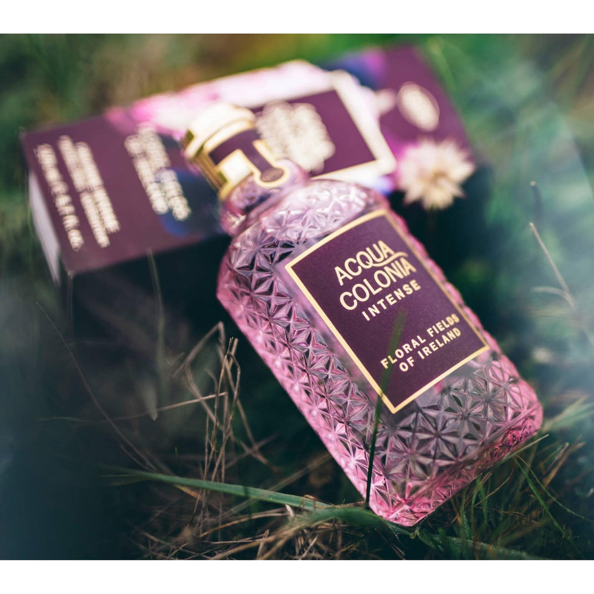 Maurer & Wirtz Maurer & Wirtz 4711 Acqua Colonia Intense Floral Fields Of Ireland Cologne Spray 170ml - Health & Beauty > Personal Care > Cosmetics > Perfumes & Colognes > Colognes EDC