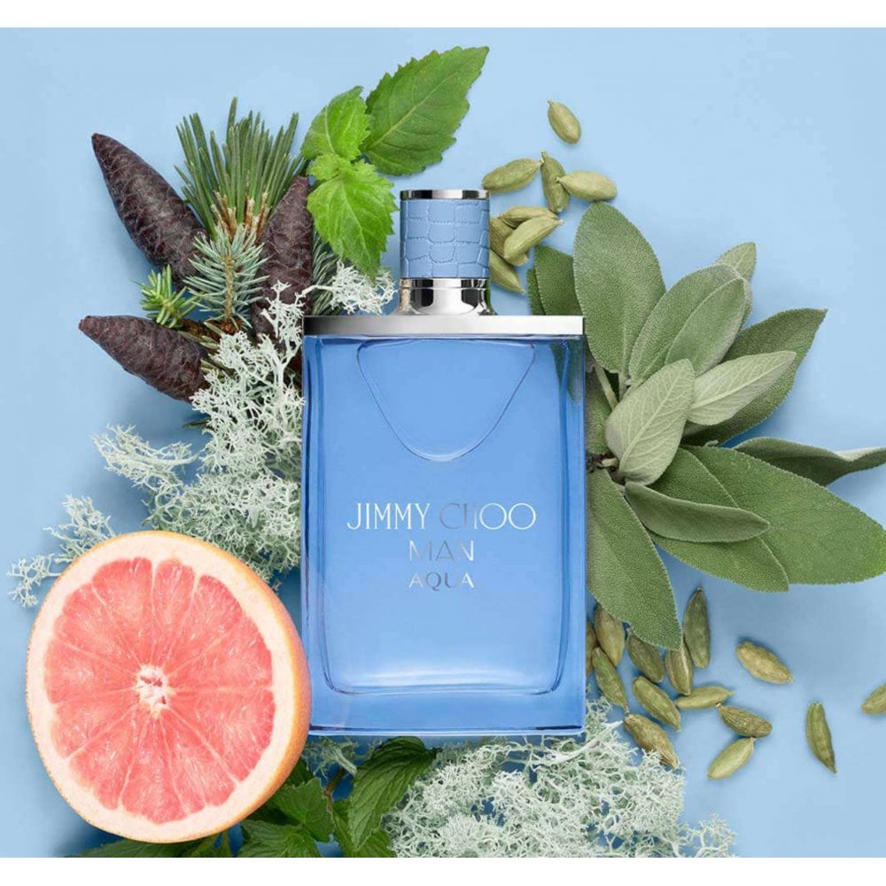 Jimmy Choo Jimmy Choo Man Aqua 100ml EDT Spray - Health & Beauty > Personal Care > Cosmetics > Perfumes & Colognes > Eaux De Toilette EDT