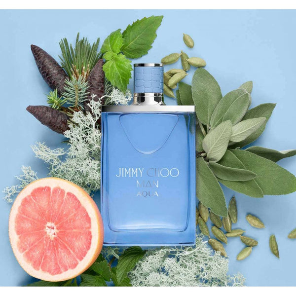 Jimmy Choo Jimmy Choo Man Aqua 100ml EDT Spray - Health & Beauty > Personal Care > Cosmetics > Perfumes & Colognes > Eaux De Toilette EDT