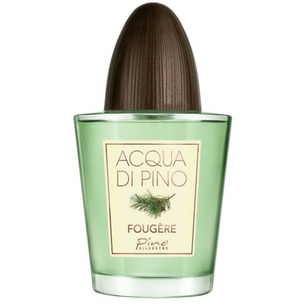 Pino Silvestre Pino Silvestre Acqua Di Pino Fougere 125ml EDT Spray - Health & Beauty > Personal Care > Cosmetics > Perfumes & Colognes > Eaux De Toilette