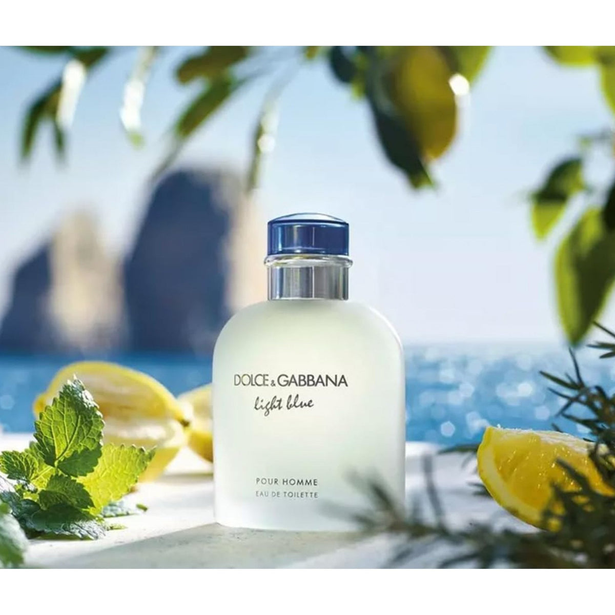 Dolce & Gabbana Dolce & Gabbana Light Blue Pour Homme 200ml EDT Spray - Health & Beauty > Personal Care > Cosmetics > Perfumes & Colognes > Eaux De Toilette