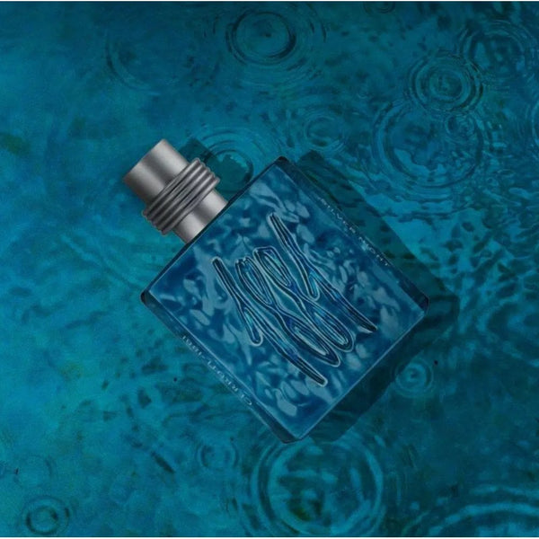 Cerruti 1881 Silver Night 100ml EDP Spray