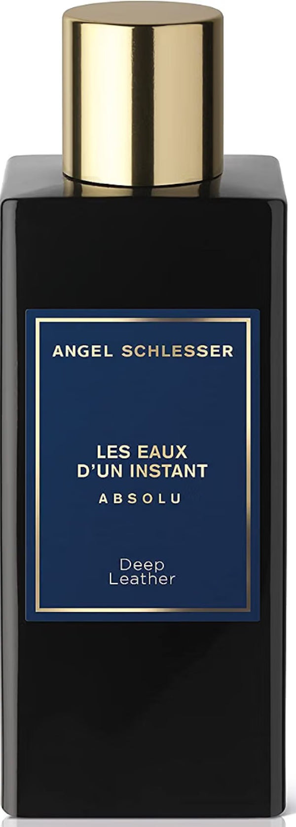 Angel Schlesser Les Eaux D'un Instant Absolu Deep Leather 100ml EDP Spray