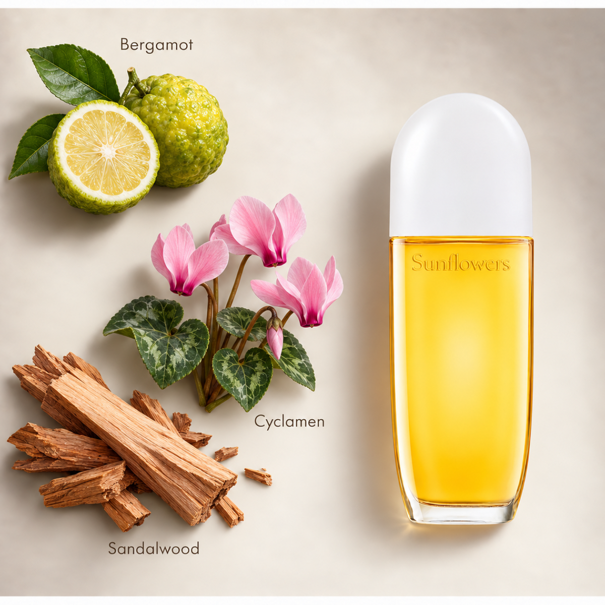 Elizabeth Arden Sunflowers 50ml EDT Spray