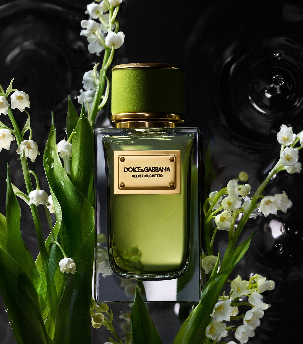 Dolce & Gabbana Velvet Mughetto 100ml EDP Spray