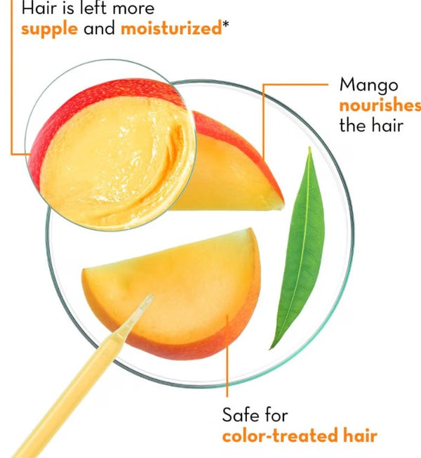Klorane Nourishing Shampoo With Mango For Dry Hair 400ml
