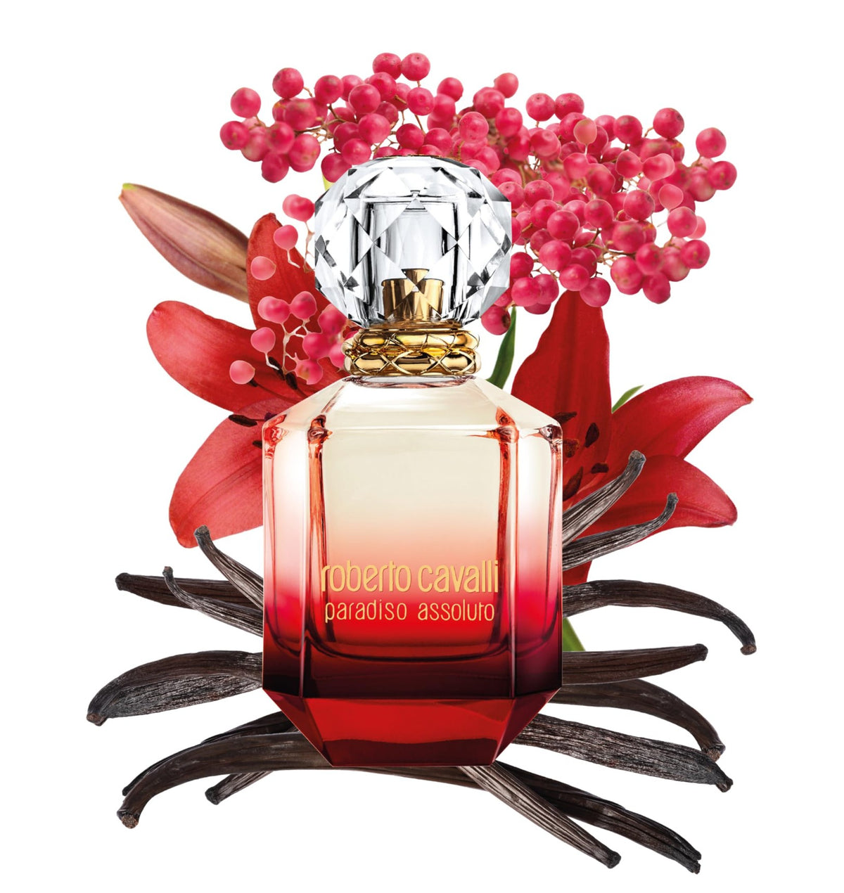 Roberto Cavalli Paradiso Assoluto 50ml EDP Spray