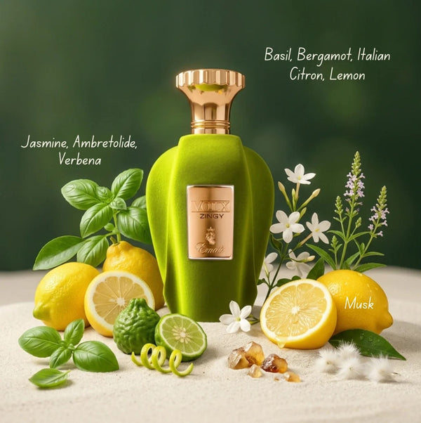 Paris Corner Voux Zingy 100ml EDP Spray