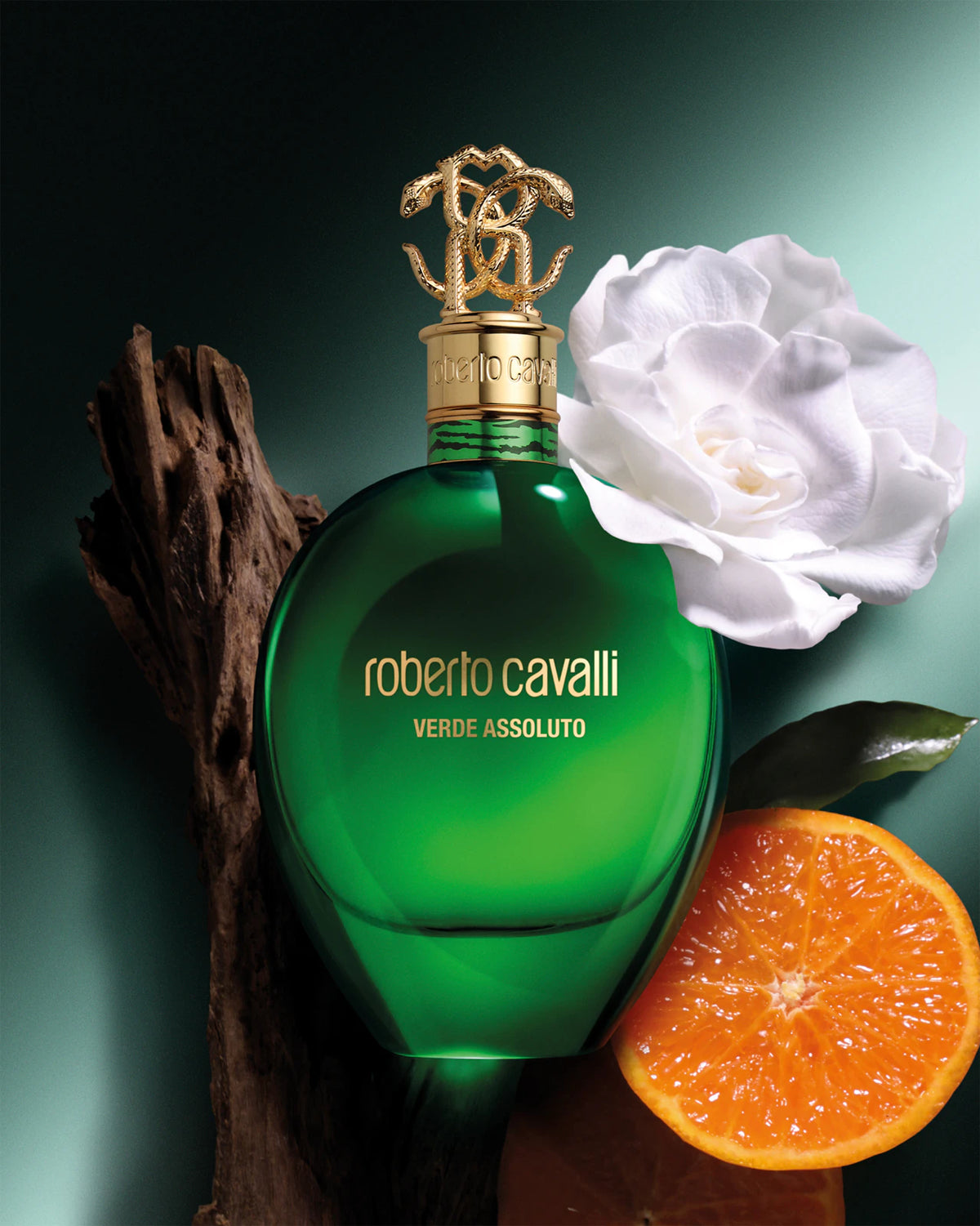 Roberto Cavalli Verde Assoluto 75ml EDP Spray