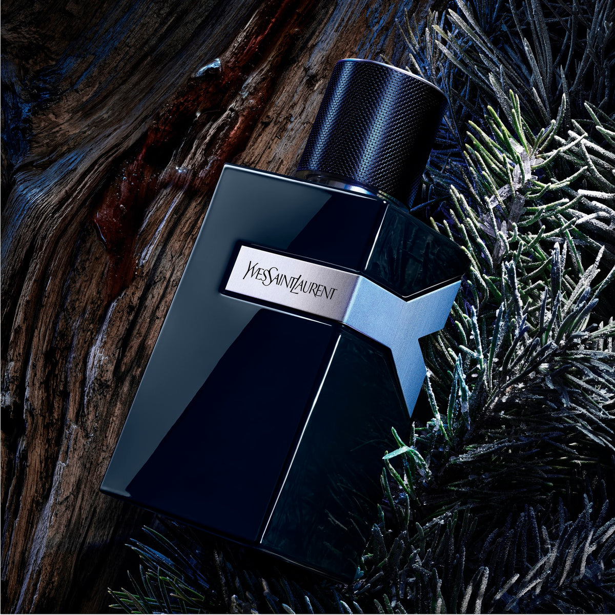 Yves Saint Laurent Y Le Parfum 100ml Spray