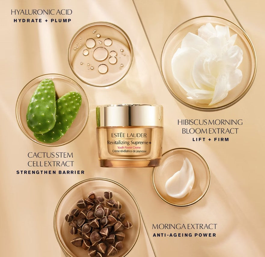 Estée Lauder Revitalizing Youth Power Soft Cream 100ml