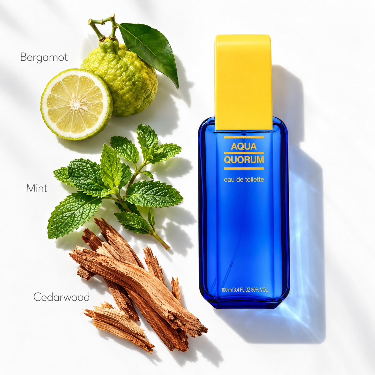 Puig Aqua Quorum 100ml EDT Spray