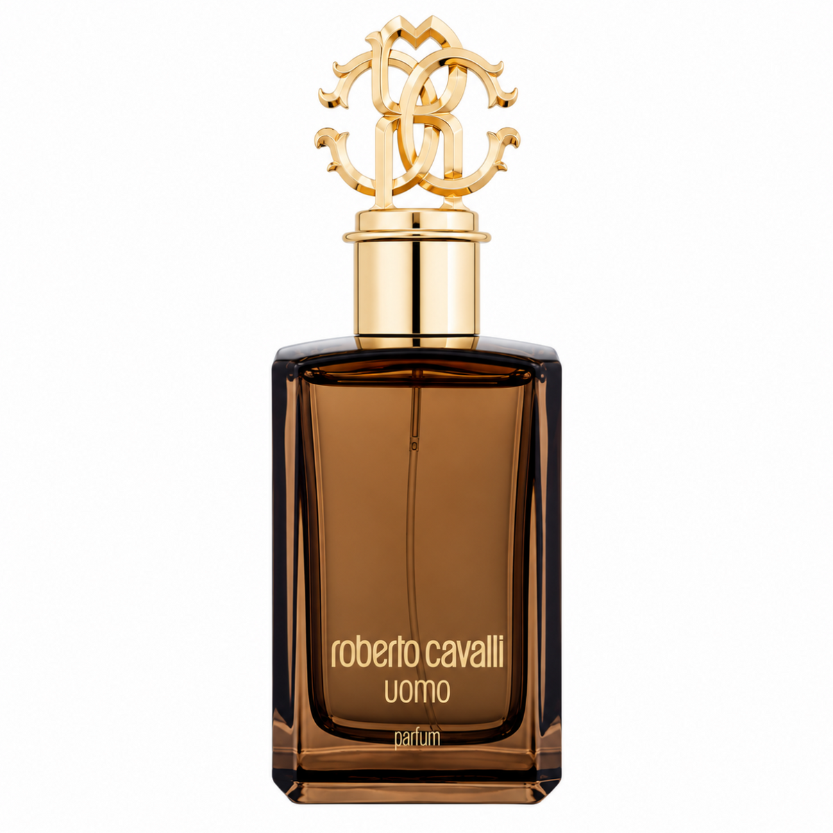 Roberto Cavalli Uomo 100ml EDP Spray