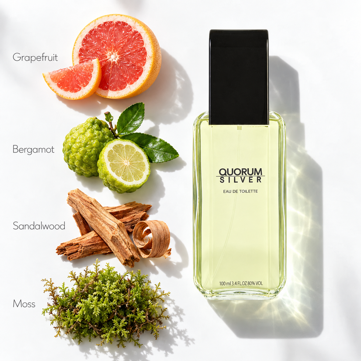 Puig Quorum Silver 100ml EDT Spray