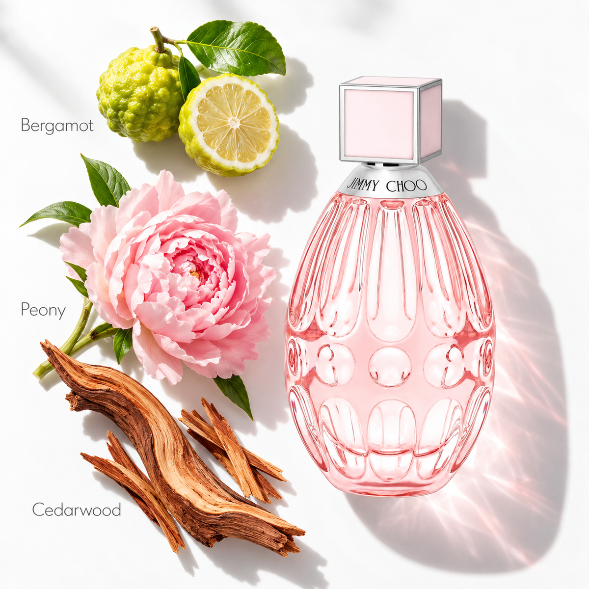 Jimmy Choo L'Eau 40ml EDT Spray