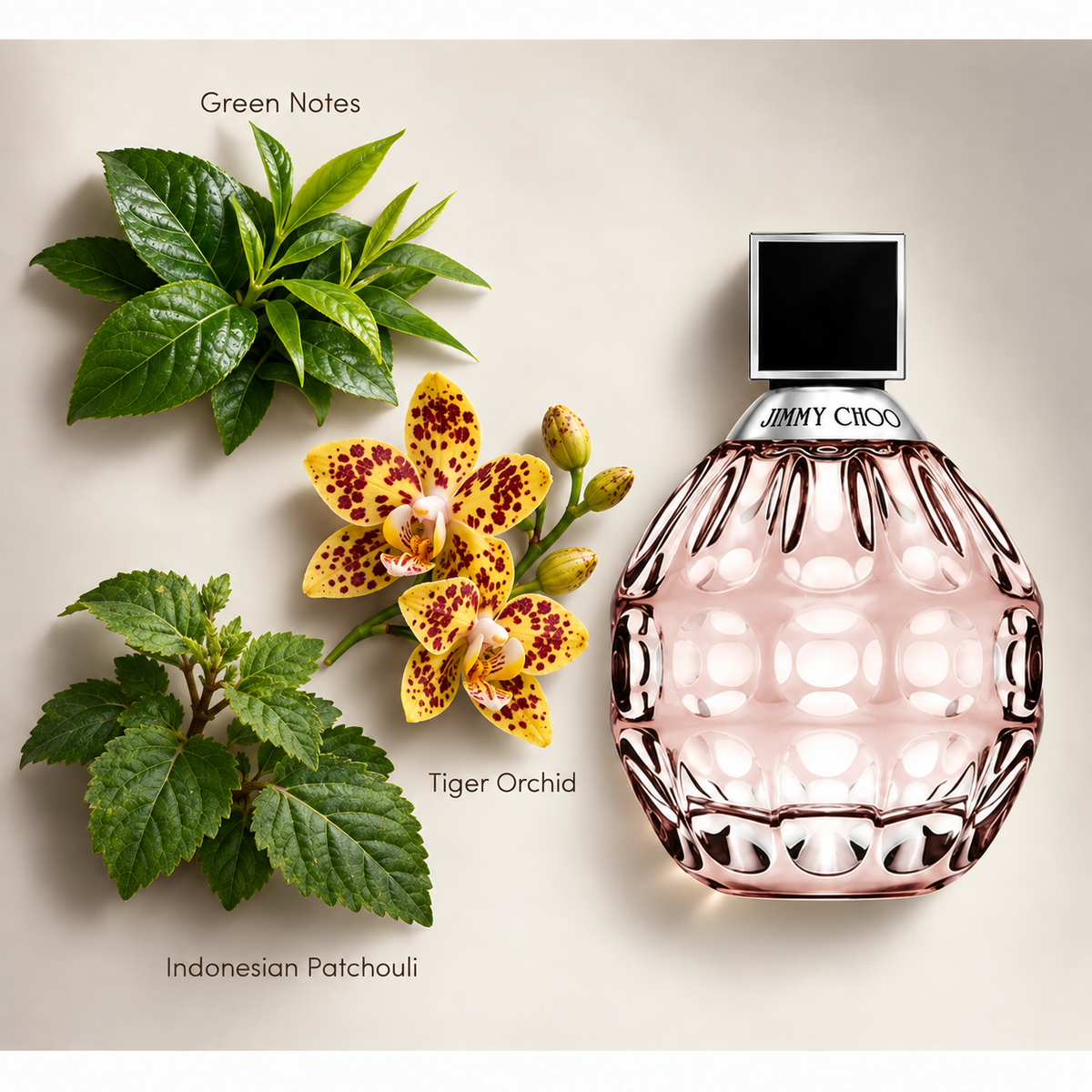 Jimmy Choo 40ml EDP Spray