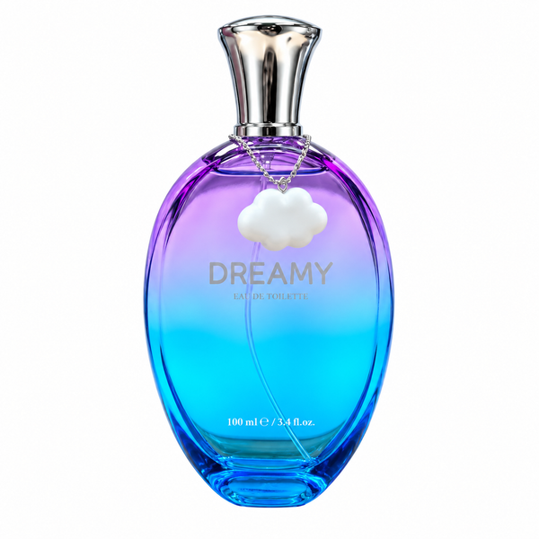 Budget Perfume Dreamy 100ml EDT Spray