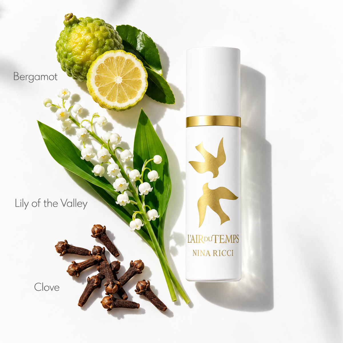 Nina Ricci L'Air Du Temps 30ml EDT Spray